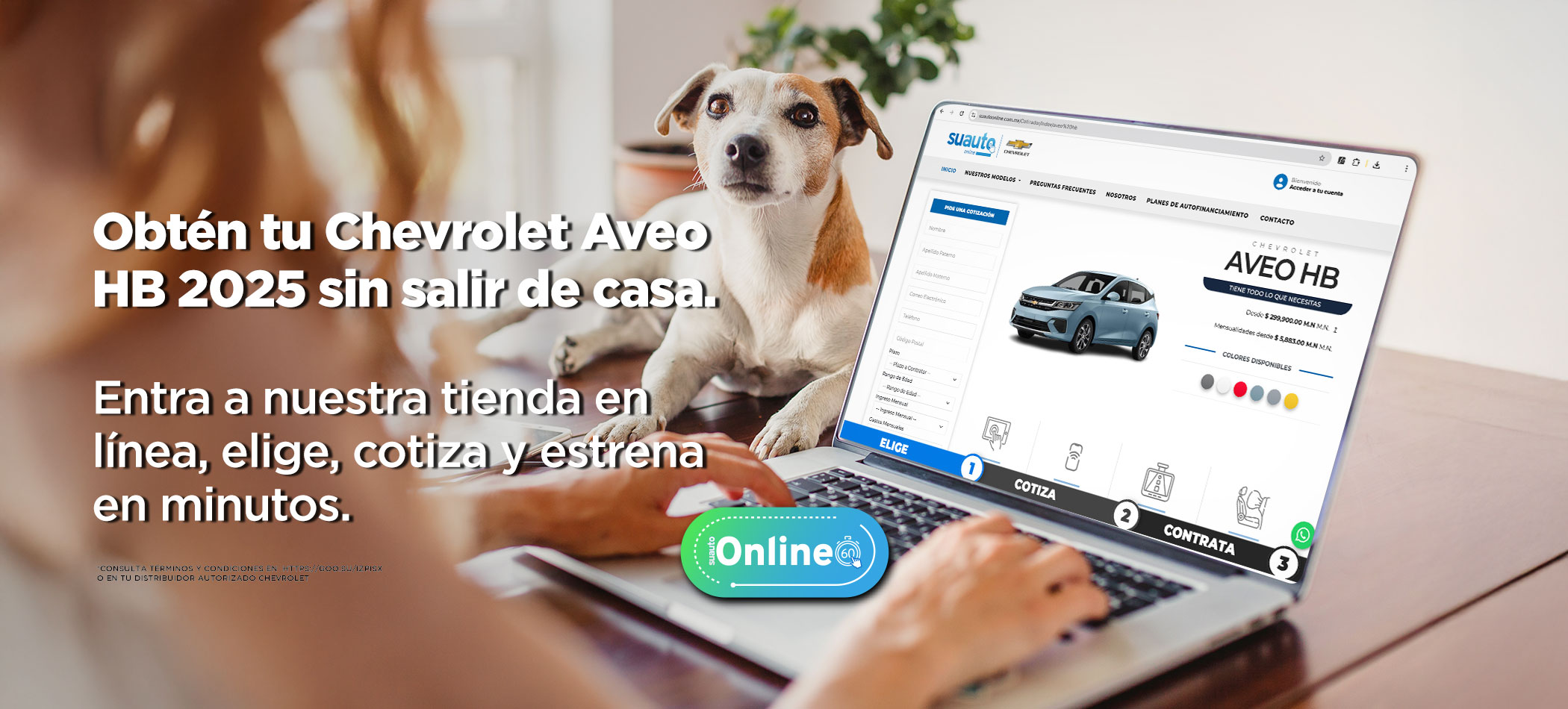 suautoOnlineJunio02