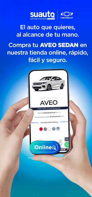 suautoOnlineFebrero01
