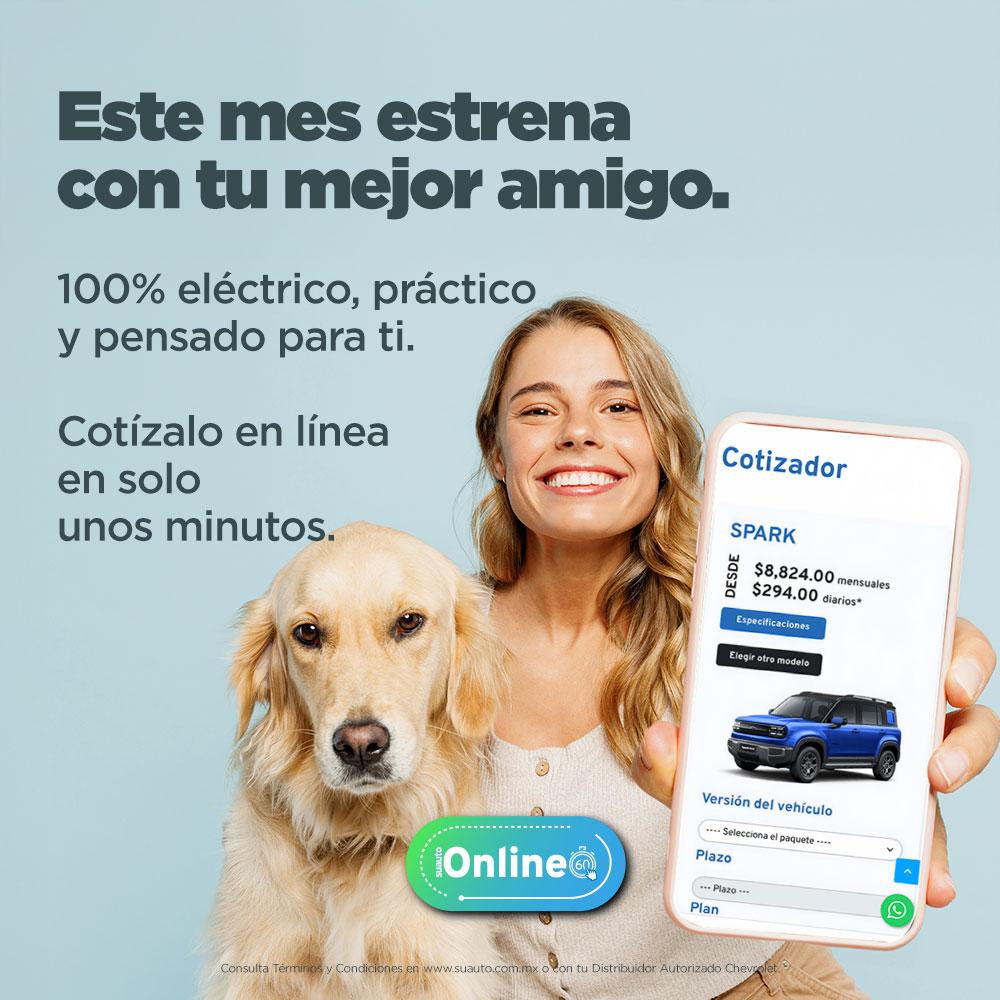 suautoonlinefebrero02