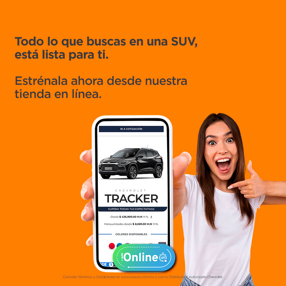 suautoonlinenoviembre02